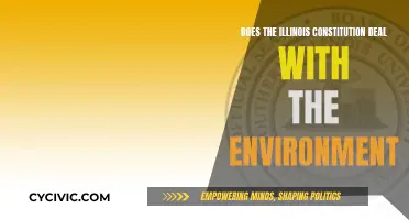 Illinois Constitution: Environmental Provisions Explained