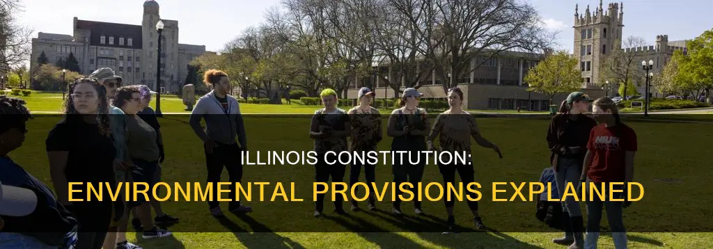 does the illinois constitution deal with the environment