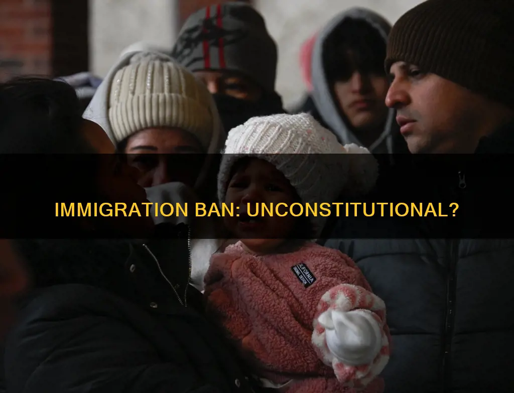 does the immiimmigration ban go against the constitution
