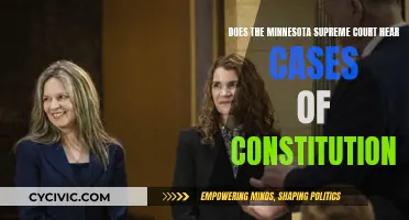 Minnesota Supreme Court: Interpreting the Constitution