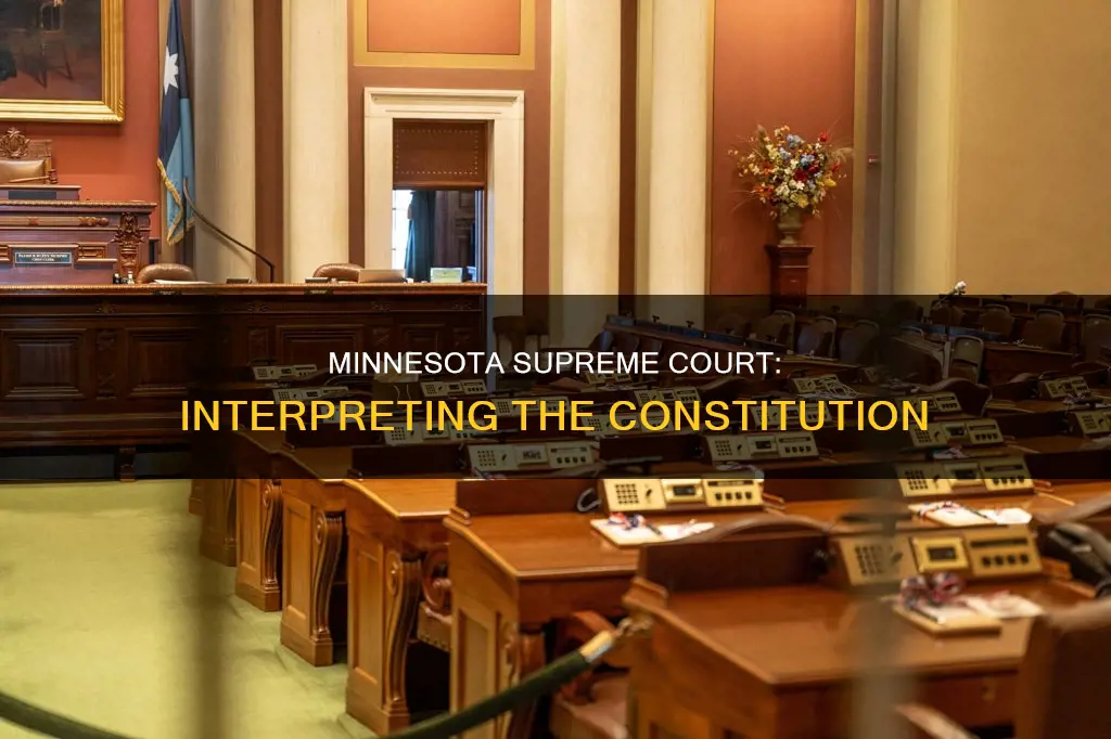 does the minnesota supreme court hear cases of constitutionality