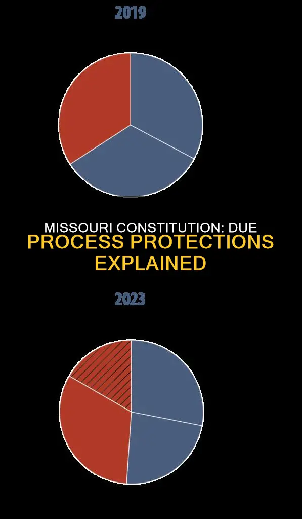 does the missouri constitution contain due process clauses