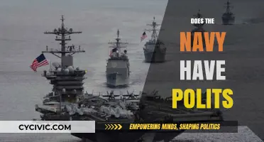 Exploring Naval Policies: Does the Navy Have Polits?