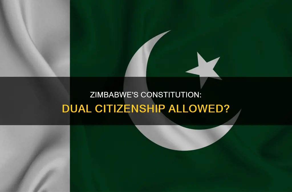 does the new zimbabwe constitution allow dual citizenship