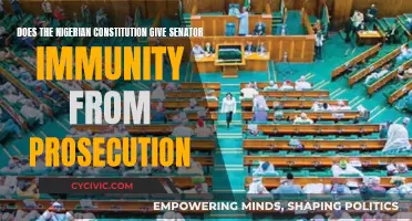 Immunity Clause: Can Nigerian Senators Escape Prosecution?