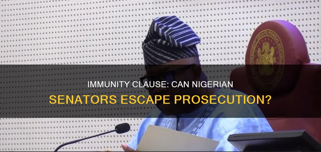does the nigerian constitution give senator immunity from prosecution