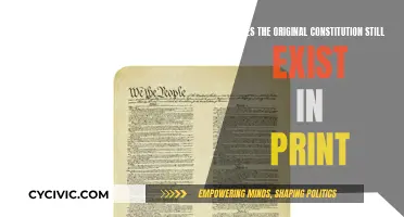 The Original Constitution: Printed or Lost?