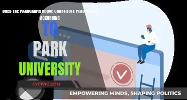 Plagiarism: Park University's Stance
