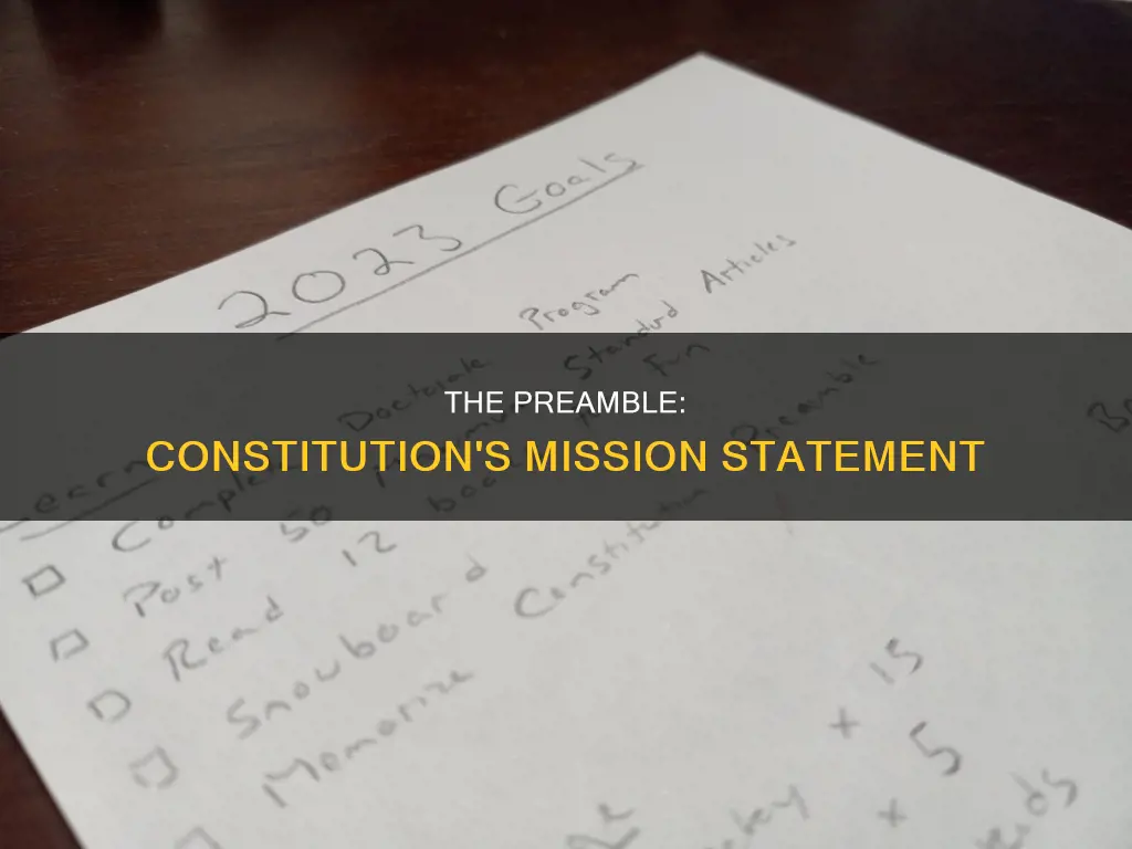 does the preamble list the goals of the constitution