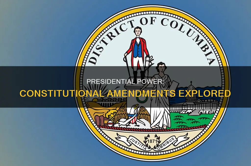 does the president have the authority over constitutional amendments