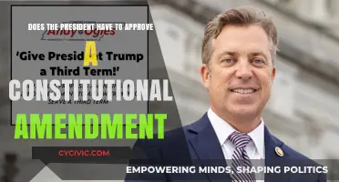 Who Approves a Constitutional Amendment?