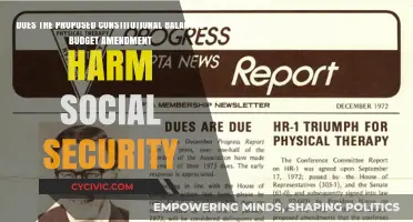 Proposed Amendment: Social Security's Future in Jeopardy?