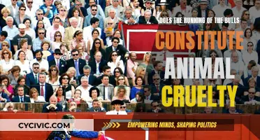Bull-Running: Cruel Sport or Cultural Tradition?