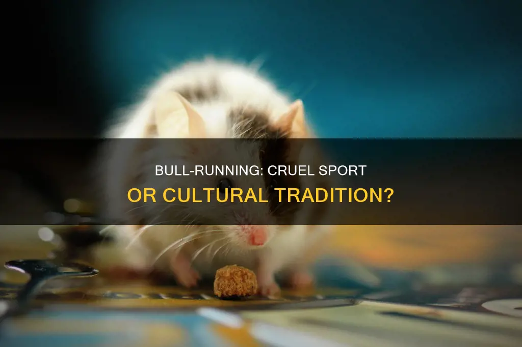 does the running of the bulls constitute animal cruelty