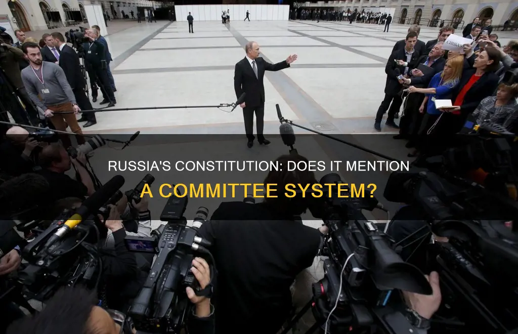 does the russian constitution discuss a comittee system