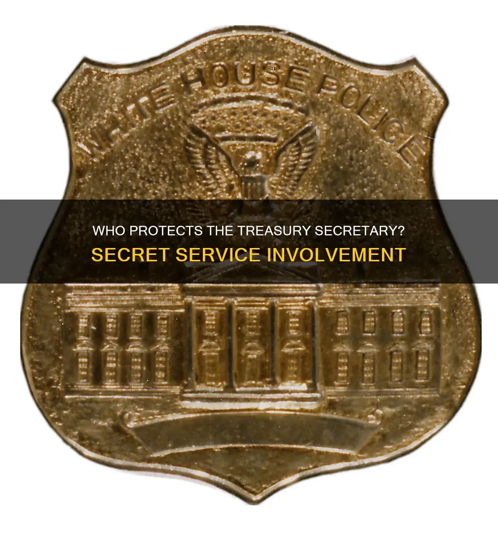 does the secretary of treasury have secret service
