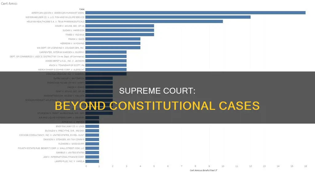 does the supreme court only hear constitutional cases