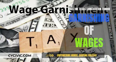 Texas Constitution: Protection Against Wage Garnishment