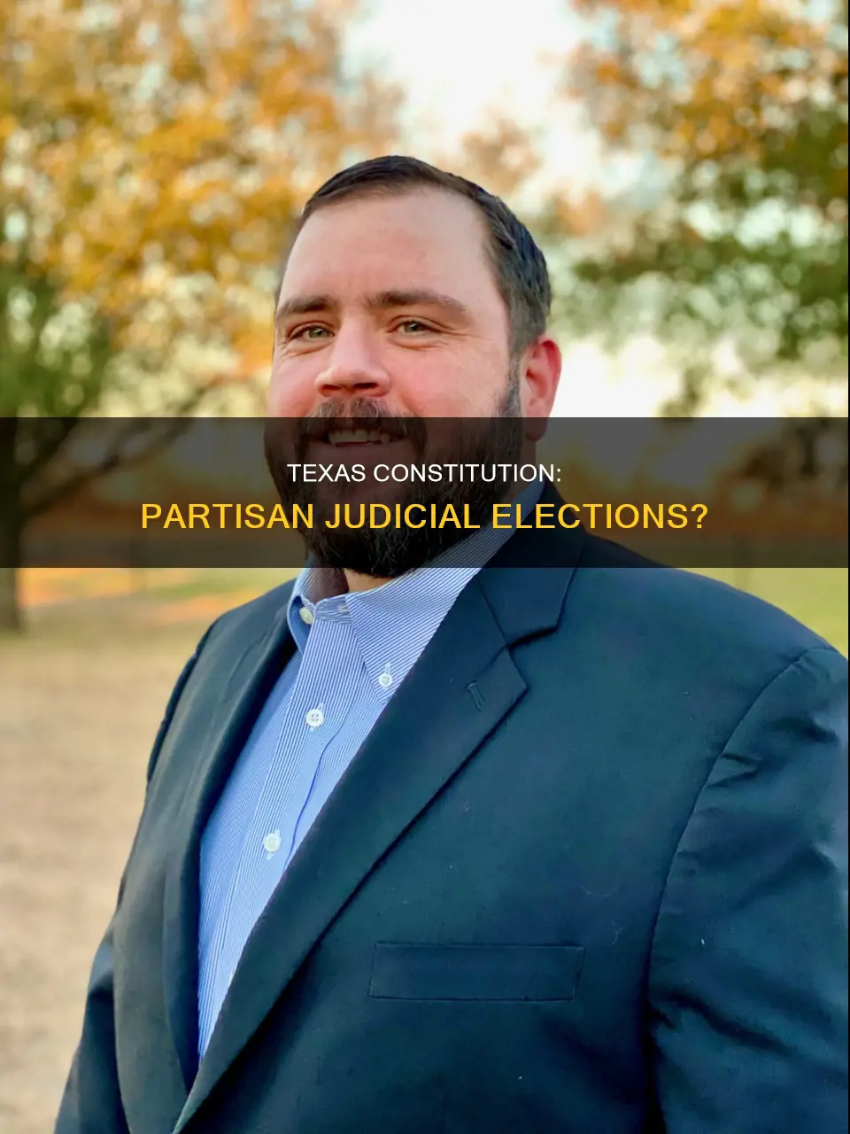 does the texas constitution prescribes partisan elections for judges