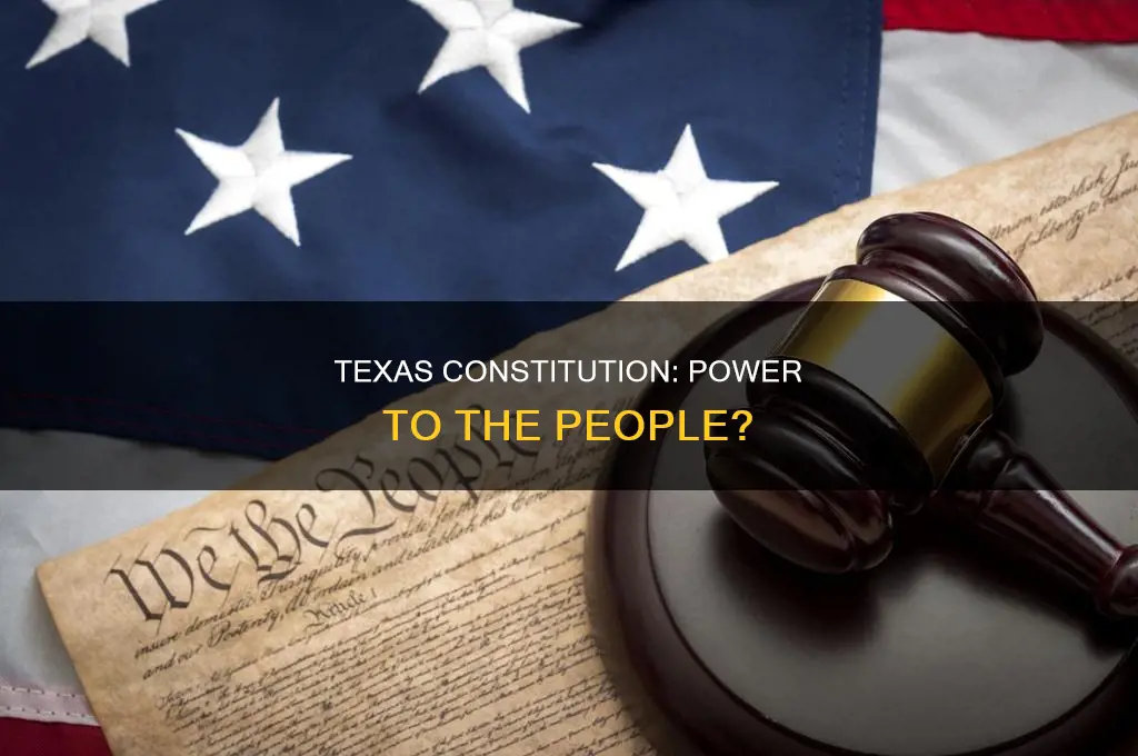 does the texas constitution support power to the people