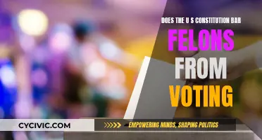 Felons' Voting Rights: What Does the Constitution Say?