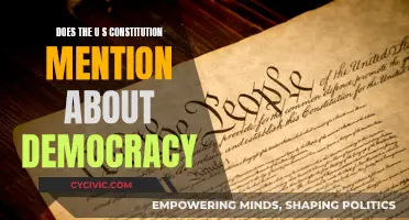 The Constitution and Democracy: What's the Link?