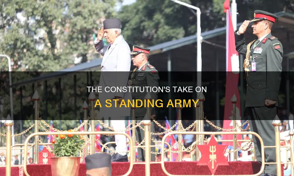 does the us constitution addres a standing army