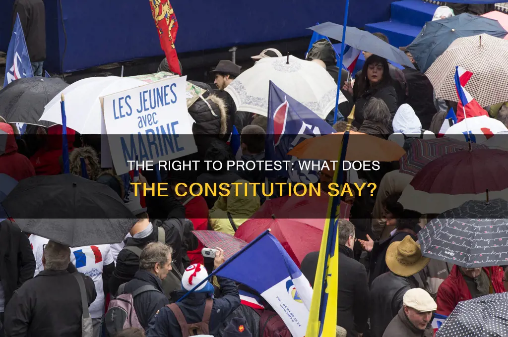 does the us constitution allow illegals to protest