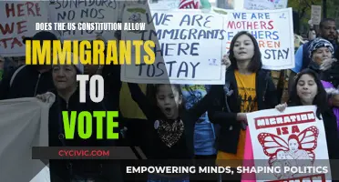 Immigrant Voting Rights: What Does the Constitution Say?