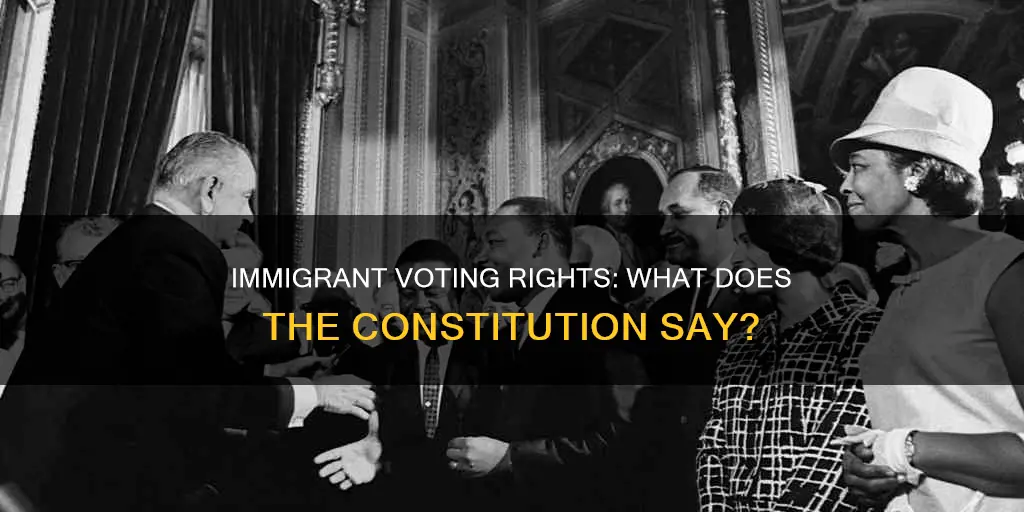 does the us constitution allow immigrants to vote