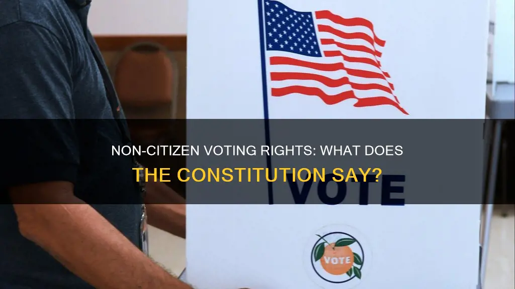 does the us constitution allow non citizens to vote