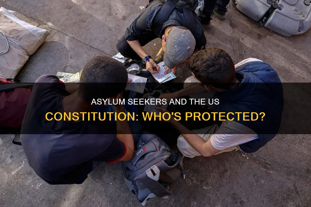 does the us constitution apply to asylum seekers