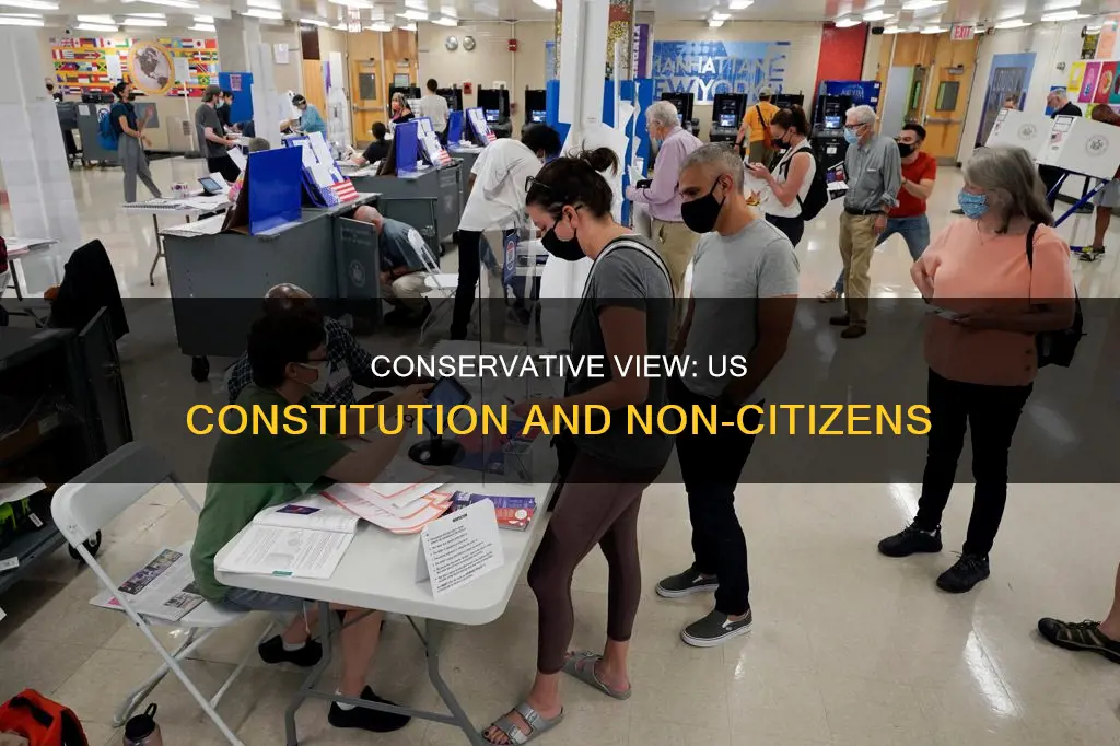 does the us constitution apply to non citizens conservative