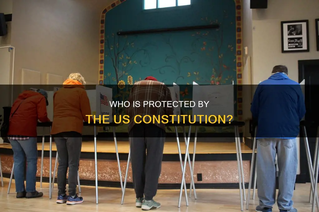 does the us constitution as written cover noncitizens