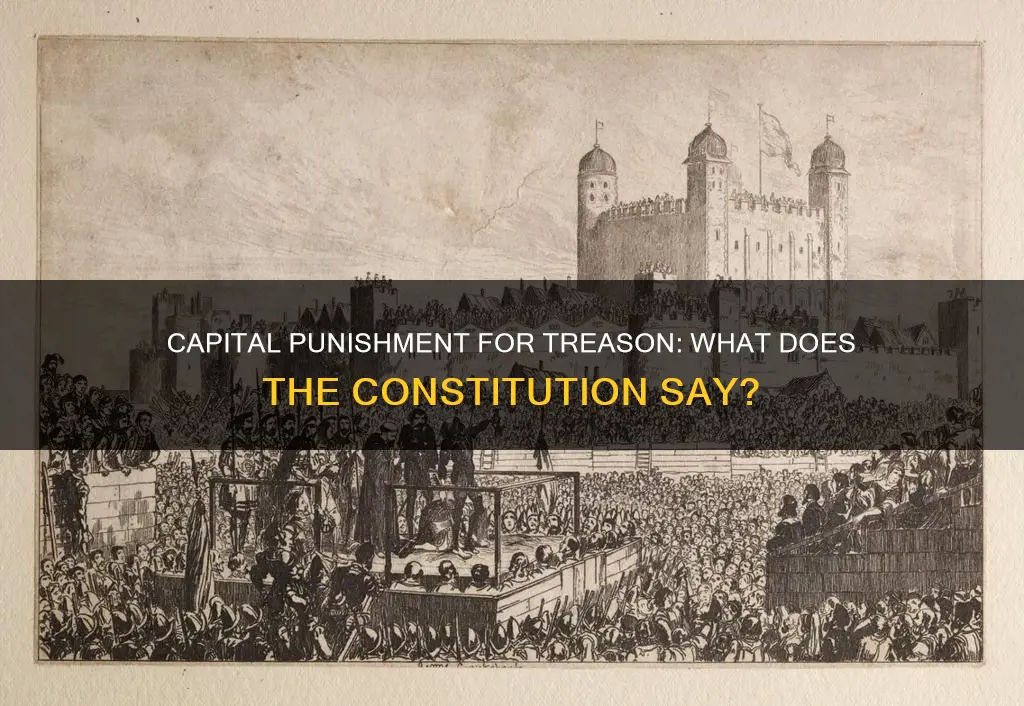 does the us constitution authorize deatth for treason