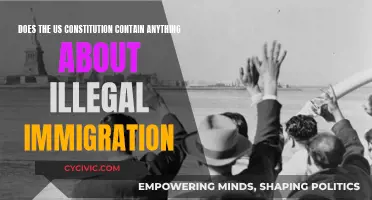 US Constitution: Immigration Laws and Their Origins