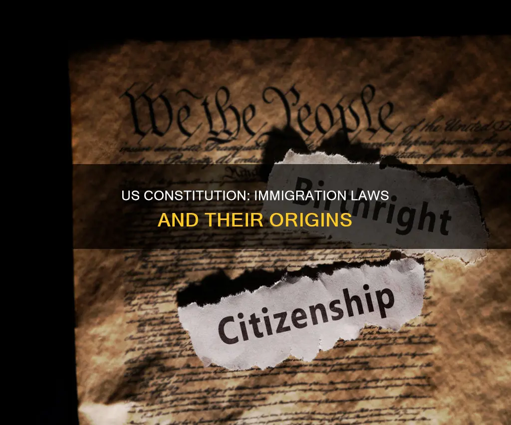 does the us constitution contain anything about illegal immigration