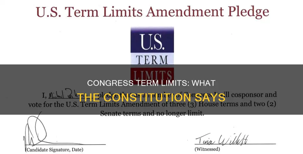 does the us constitution guarantee unlimited terms for congres smembes