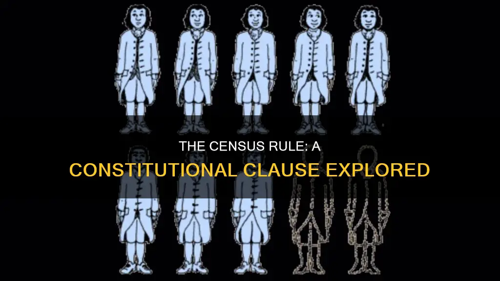 does the us constitution have a census rule