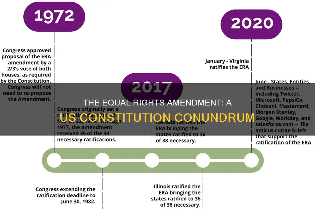 does the us constitution have an equal rights amendment