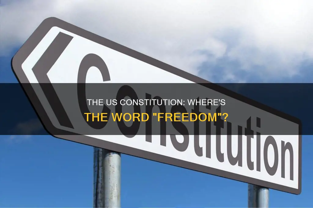 does the us constitution have the word freedom in it