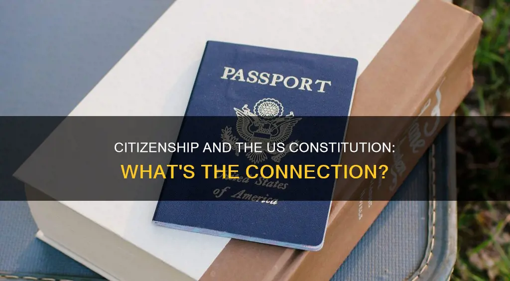 does the us constitution make you prove citizenship