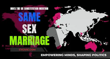 Constitution and Same-Sex Marriage: What's the Link?