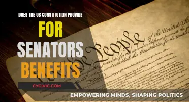 Senators' Benefits: What the US Constitution Provides