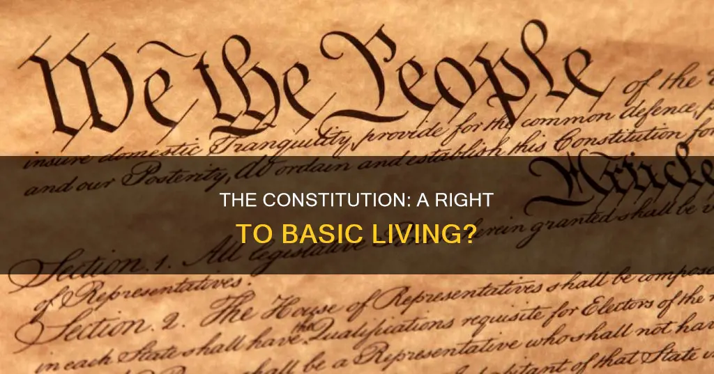 does the us constitution provide for subsistance living