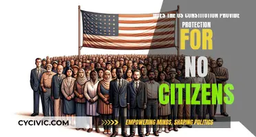 The US Constitution: Protection for Non-Citizens?