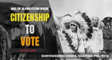Citizenship and Voting: Exploring Constitutional Requirements