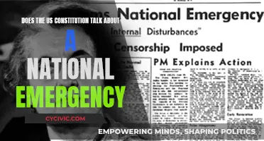 The Constitution and National Emergencies: What's the Deal?