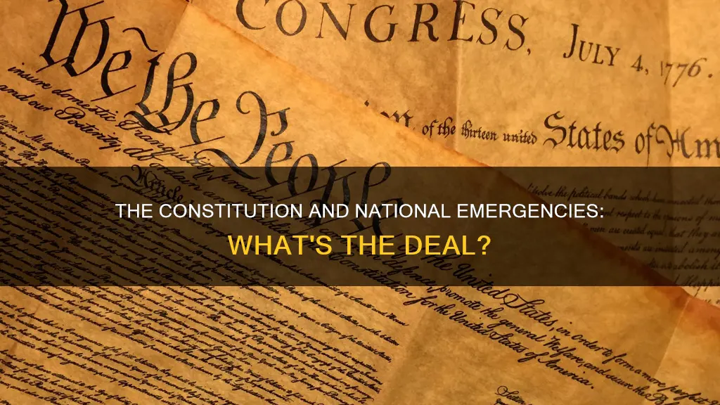 does the us constitution talk about a national emergency