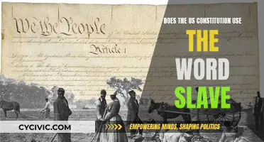 The US Constitution's Dark Secret: Slave or No Slave?